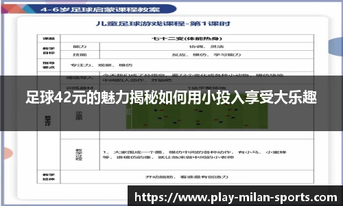 足球42元的魅力揭秘如何用小投入享受大乐趣